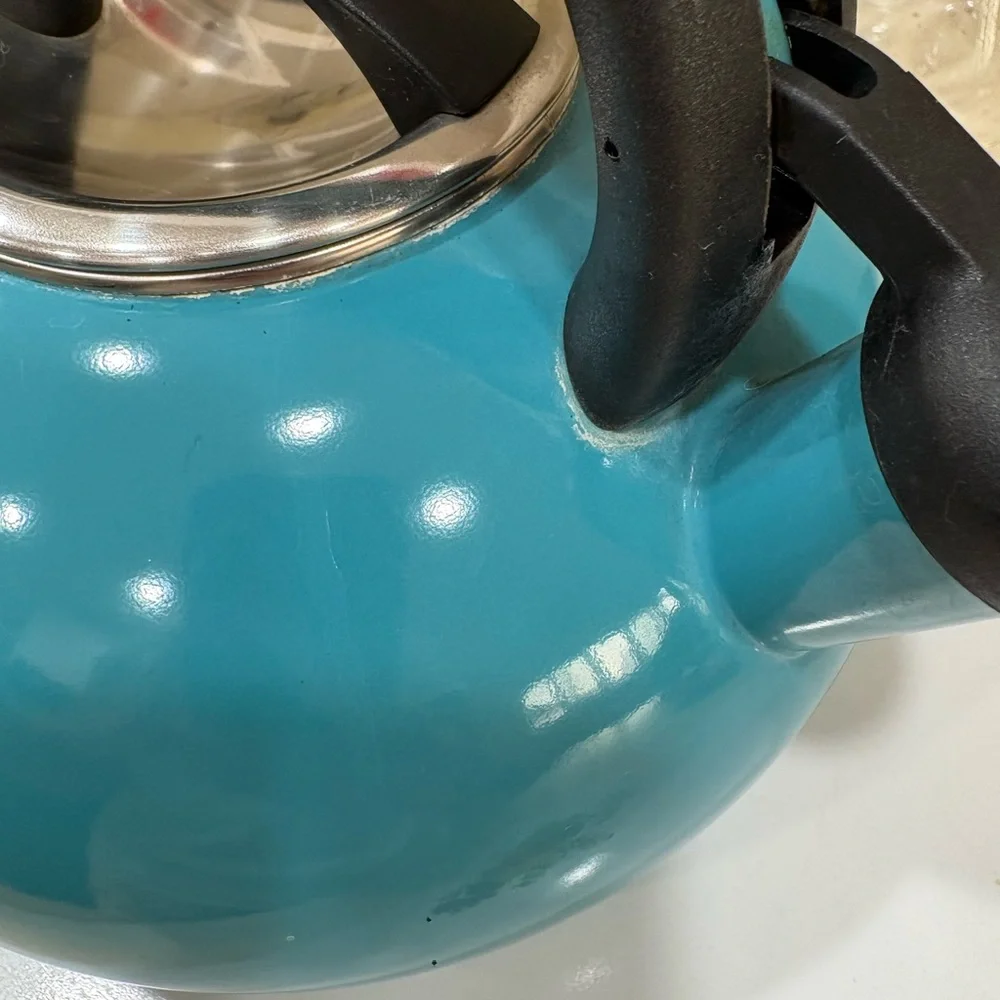 Teal Whistling Stovetop Kettle with Black Handle and Spout Cap